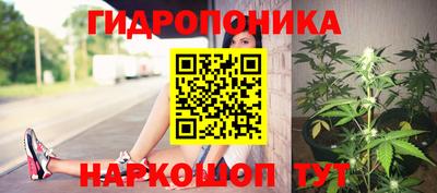 дживик Кинель