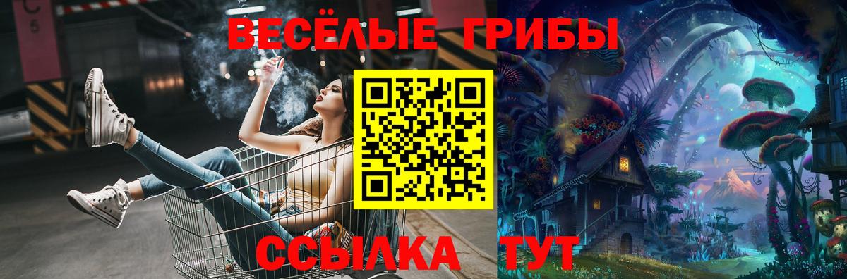 Галлюциногенные грибы Magic Shrooms  Галлюциногенные грибы GOLDEN TEACHER  Вход с VPN  где купить   Киров 